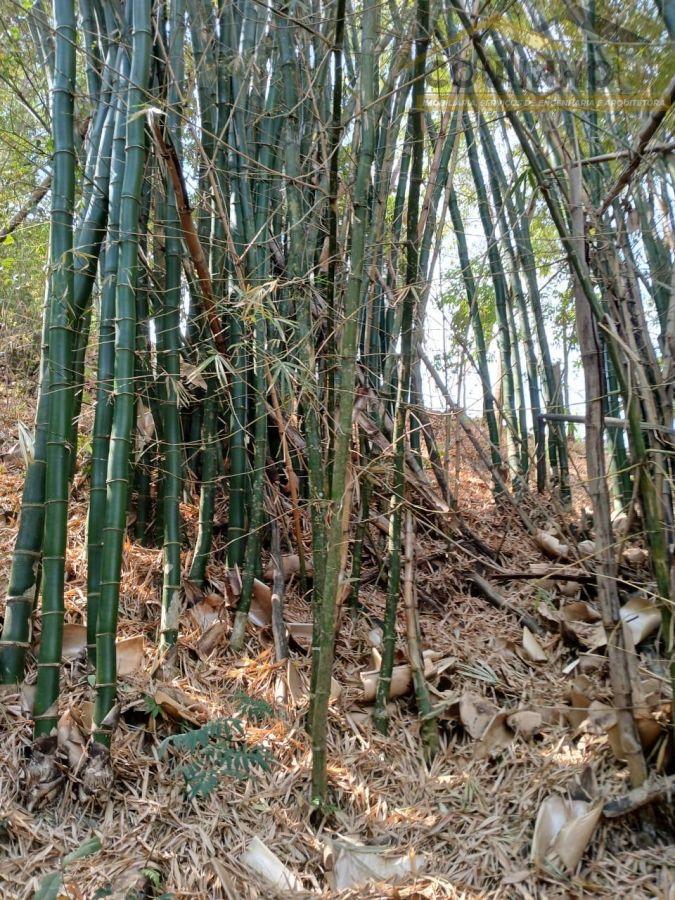 WhatsApp Image 2025-01-14 at 14.51.19 (2).jpeg